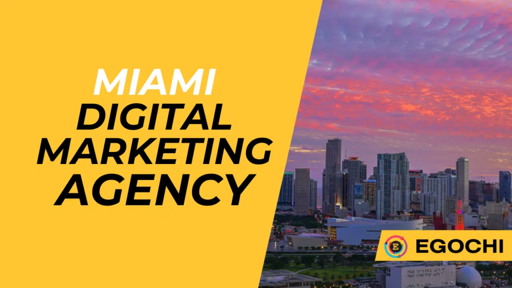 egochi miami seo agency